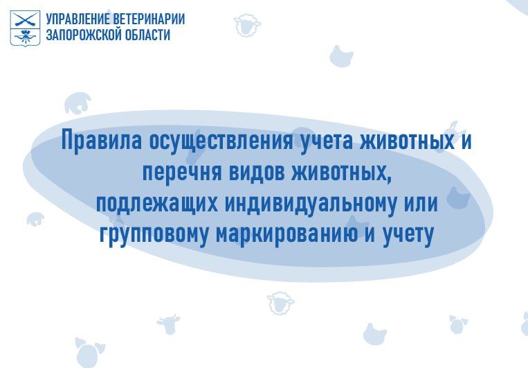� 1 ����� 2024 �. ������� � ���� �������� ������������� ����� �������� � ������� ����� ��������, ���������� ���������������...