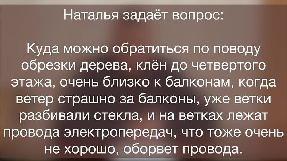 ������ ������: ���� ��������� �� ������ ������� ������?