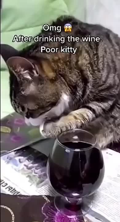 �� ������ � 15 �����. ��� �� ����� ��������... "����� ��������� ��� ����� ���������� ���������!" ... � �� ����������