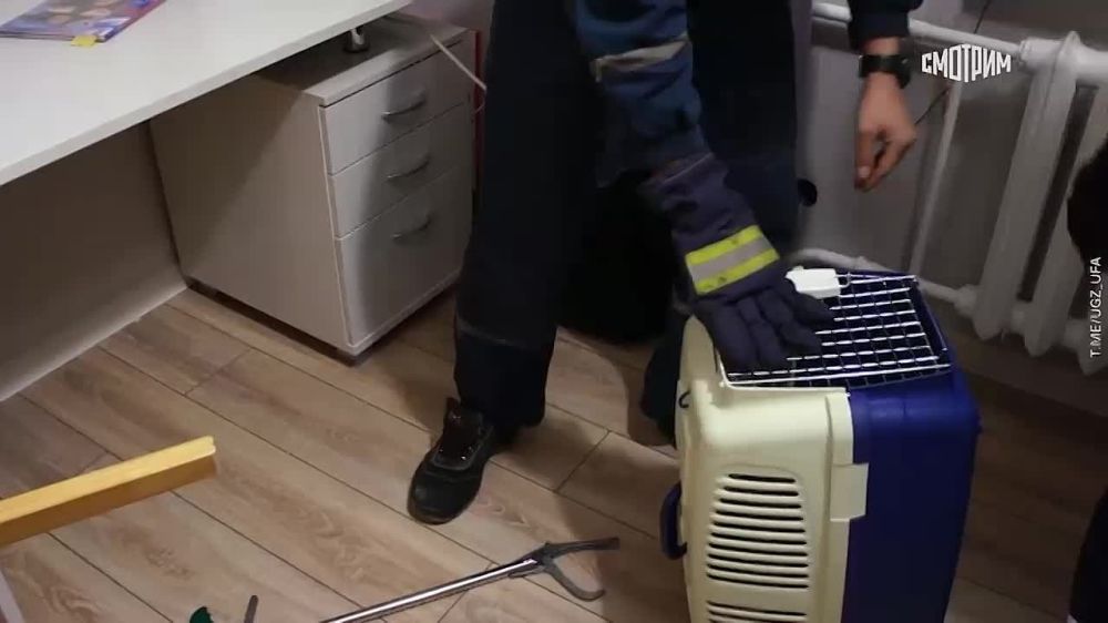 ��������� ������� � ������� � ��� ������, ������� ���������� � �������� ��������