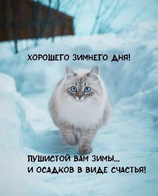 ������ �������� ��� � ��������� ����������