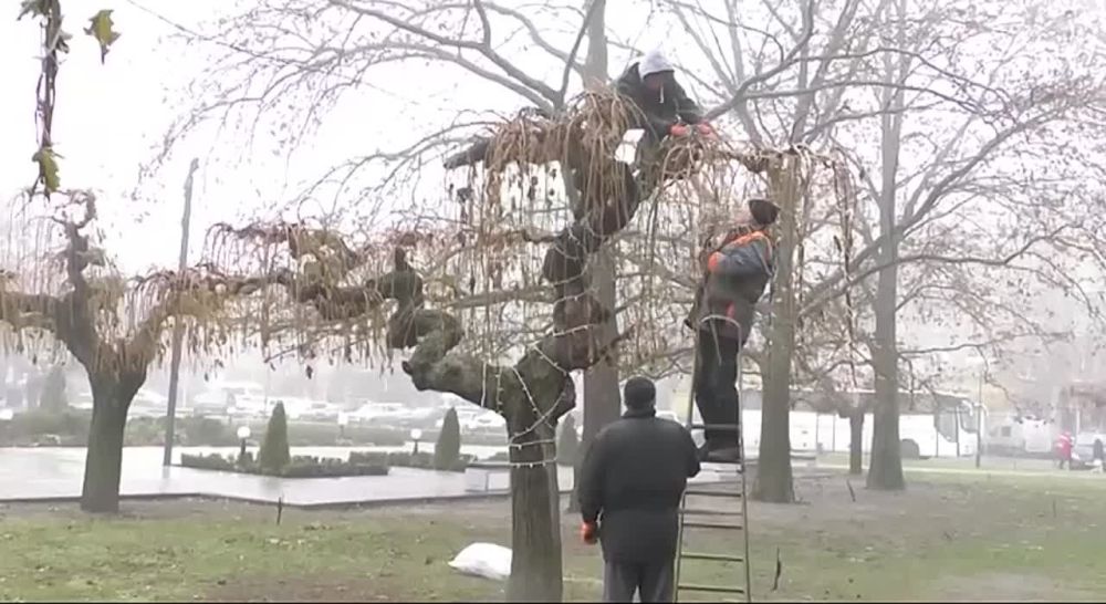 � ���������� ���������� ������ ���������� �����������