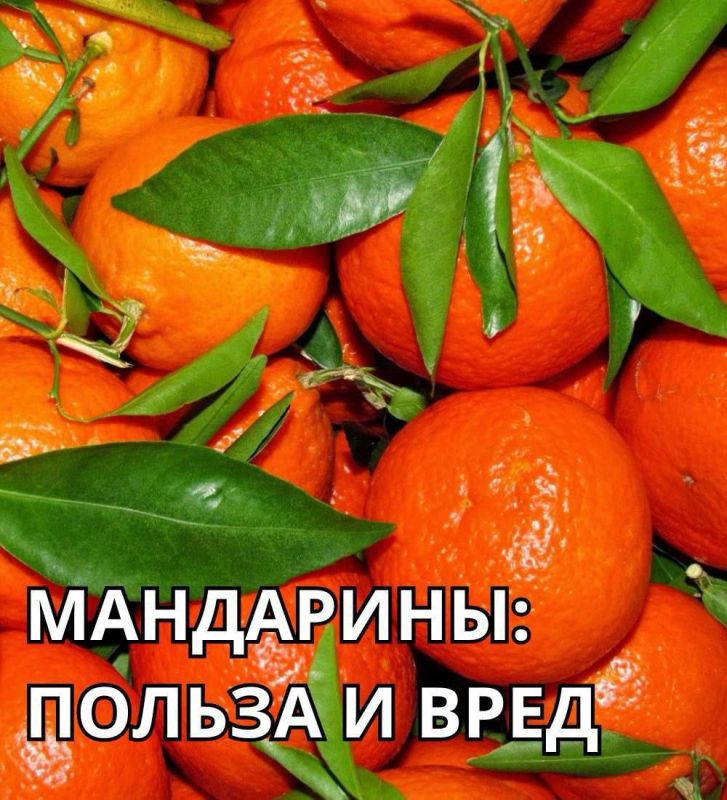 ����� �������� ����: ������ ��� ����
