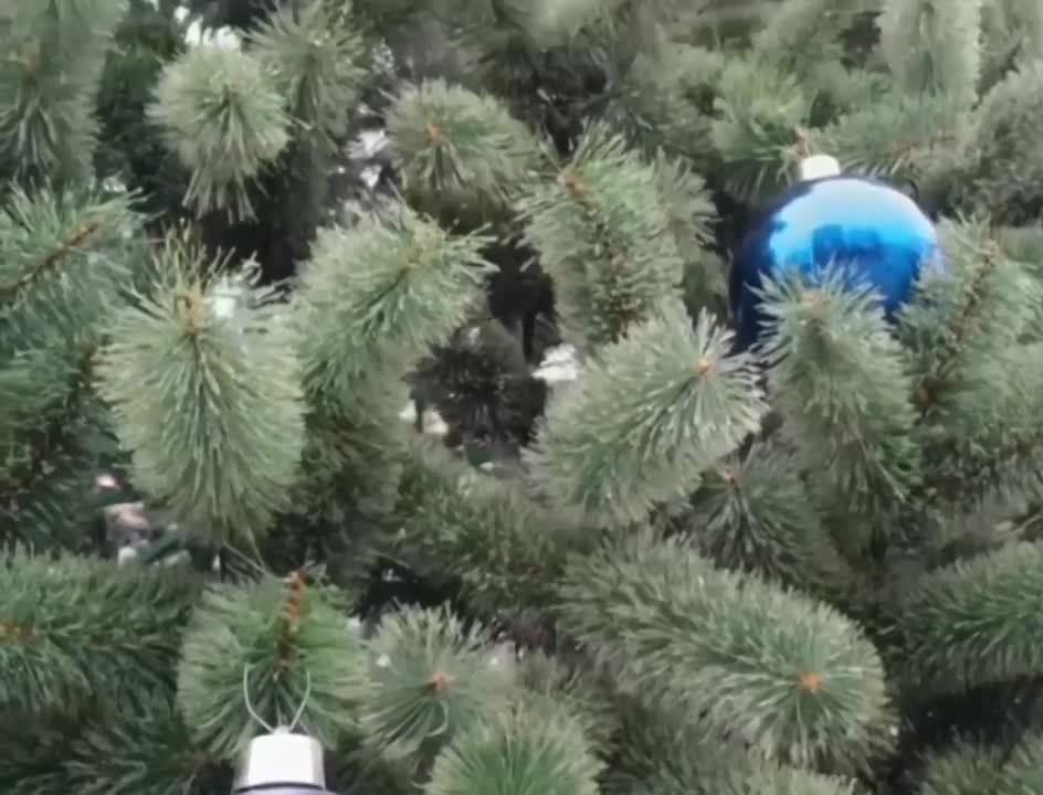 ���������� ��������� � ������� ������ ����