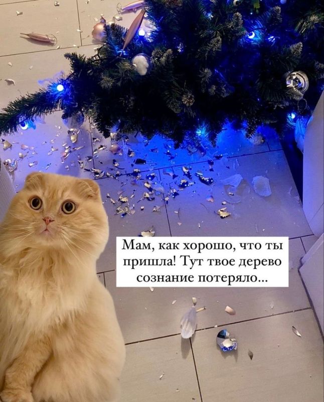 � �� ��� �������� ����?