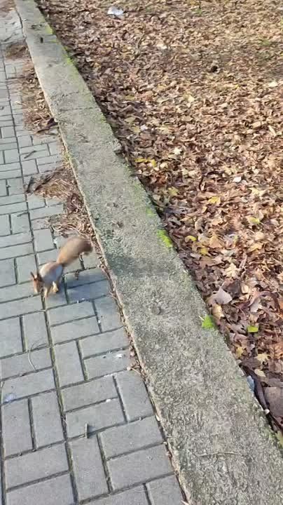 ������� ���� , ������� ������������!