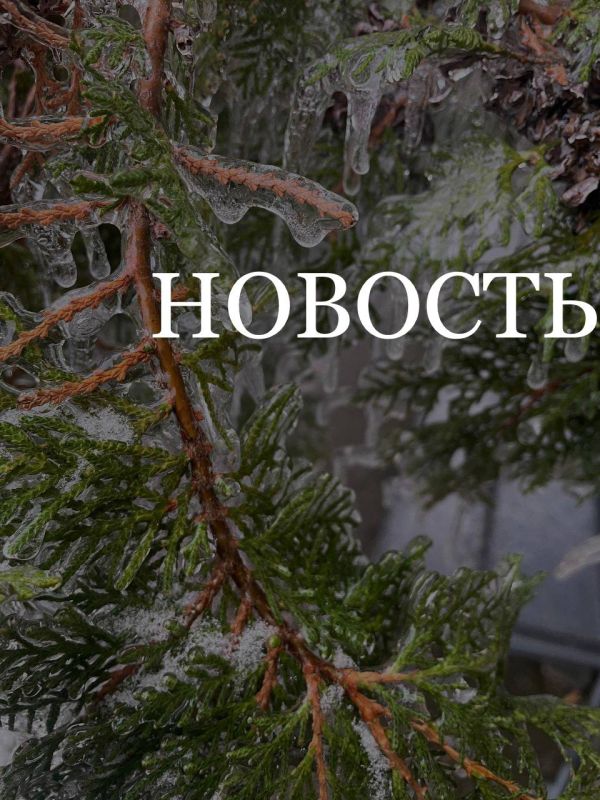 В Приазовском районе отменен запрет на розничную продажу алкоголя