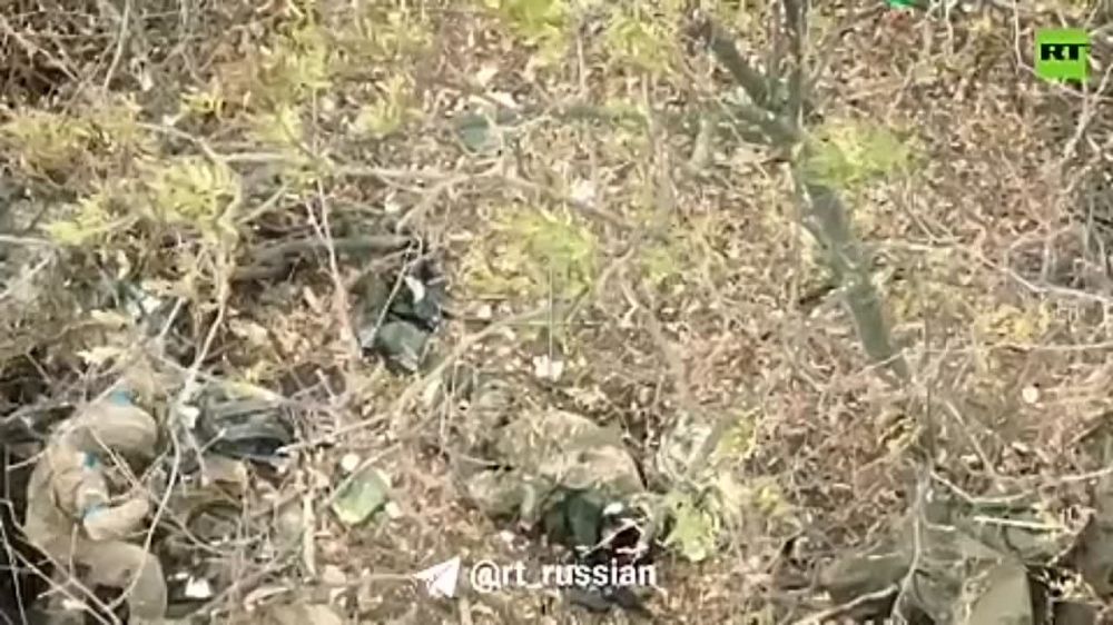 ���� ��������� ���� ������� ���������� �������� ��������� ������� � ���� � ������ ���������