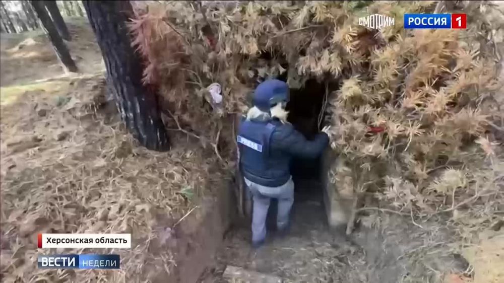 "����� �������� ����, ��������, ����� "������" ��� ���������� �� ������"