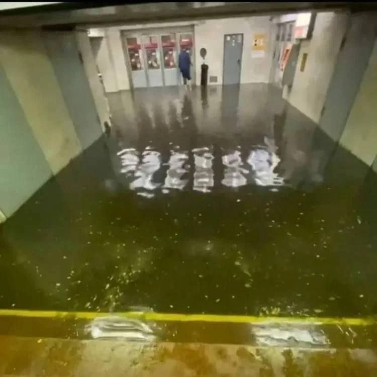 ��������� ����������� �������