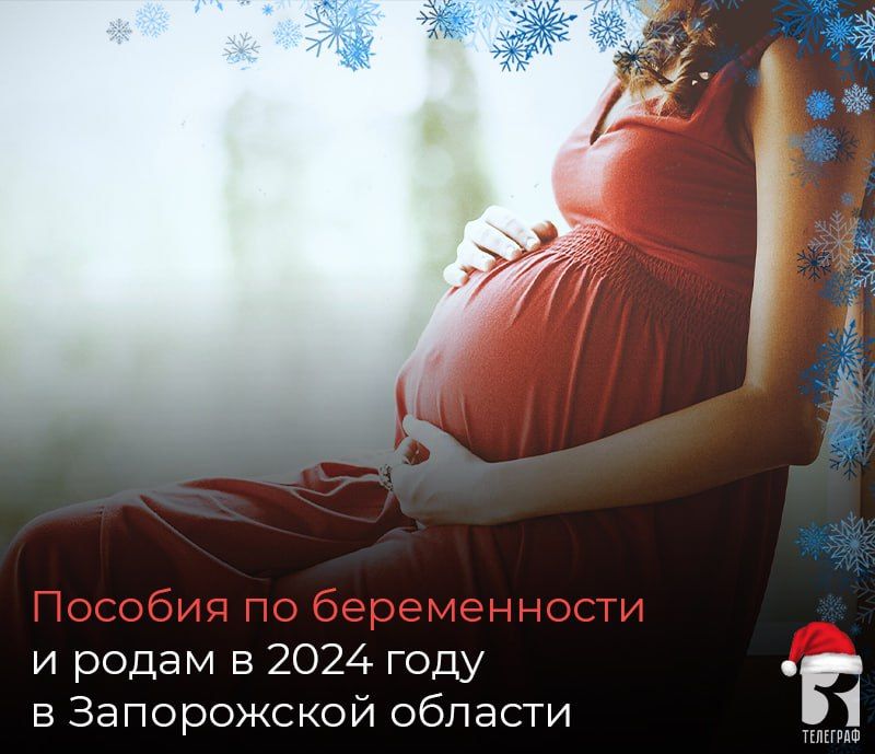 ������� �� ������������ � ����� � 2024 ���� � ����������� �������