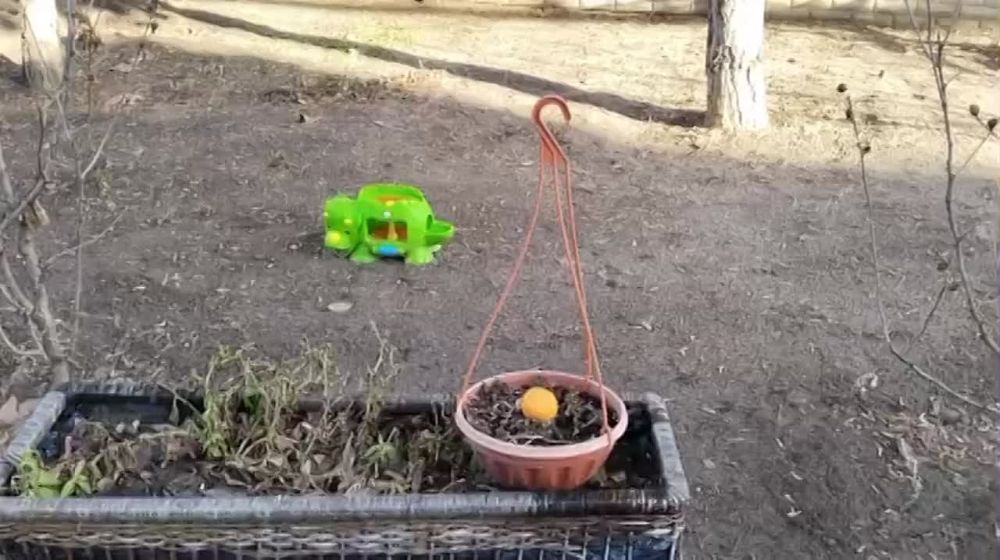 �������������� ����������� � ������� �������� � ����� ������������ ����� �������