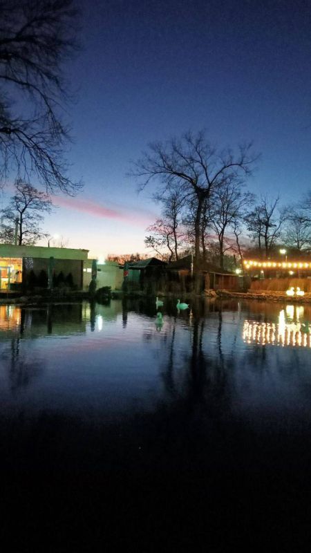 ������ ������: � ������ ����� �� ����������! ���������� ������ ������ ��� ����������� ���!