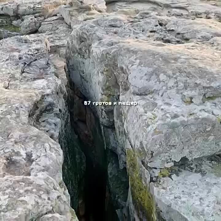 �����-���������� ��������� ������ � ����������� �������