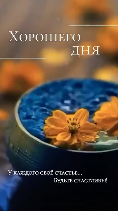 ������ �������� � ������������� ���