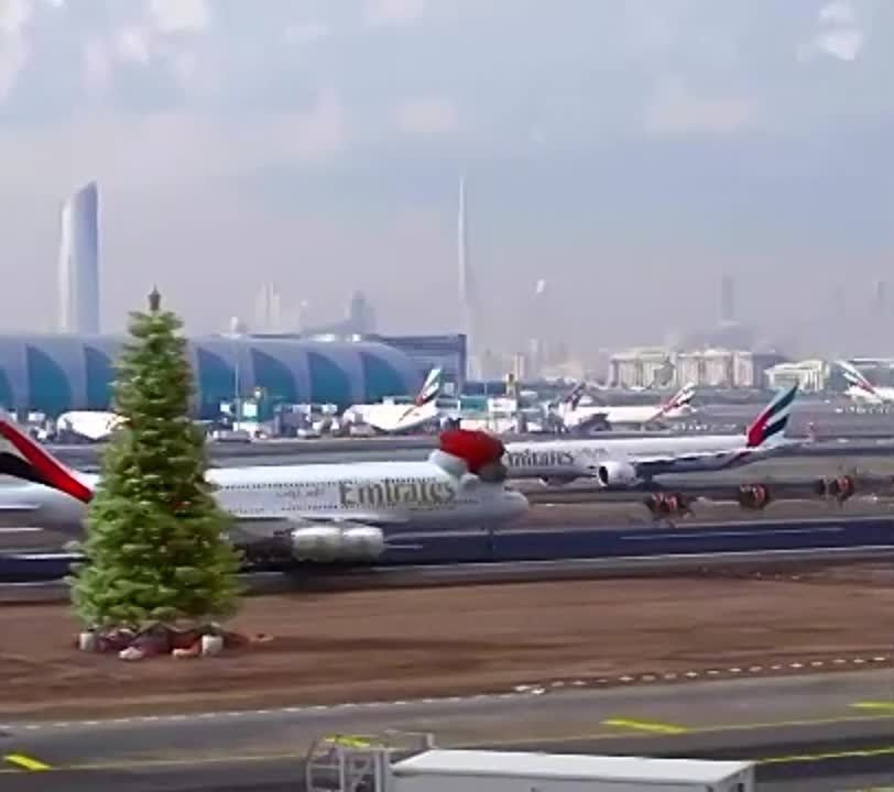 ���� ��������! ����� ��� ��� ������� � ���!