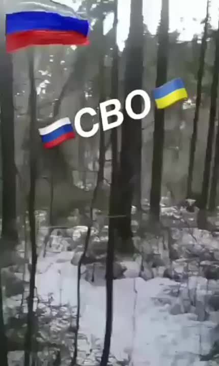 ����� ��� � ���� �����. � ��� ������������� ���������!. �� ��������� ���������� ����� ������ ���� ���������� "������". �� ��� ������� ���������� ������� ����������
