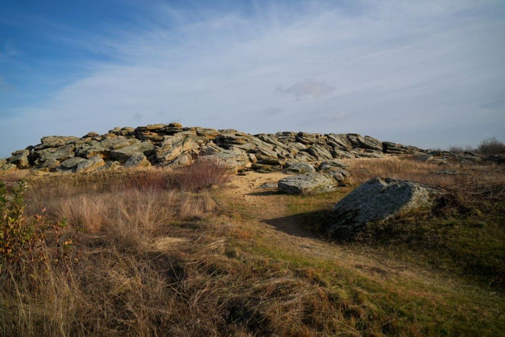 Губернатор Запорожской области Евгений Балицкий отметил, что, несмотря на сложные условия, национальные парки Запорожской области сохраняются и развиваются