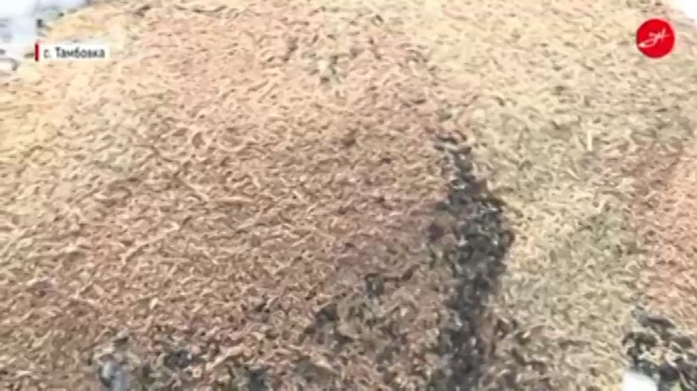 �� ��� ������ � ���, ��� ���������� ��������� ���� �������, ��������� �� �� �������� �������������� �������, � ������� ����� ������ �������� ����� � ���������