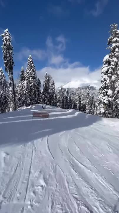 � ��� �������� ���� �� ���� �����!