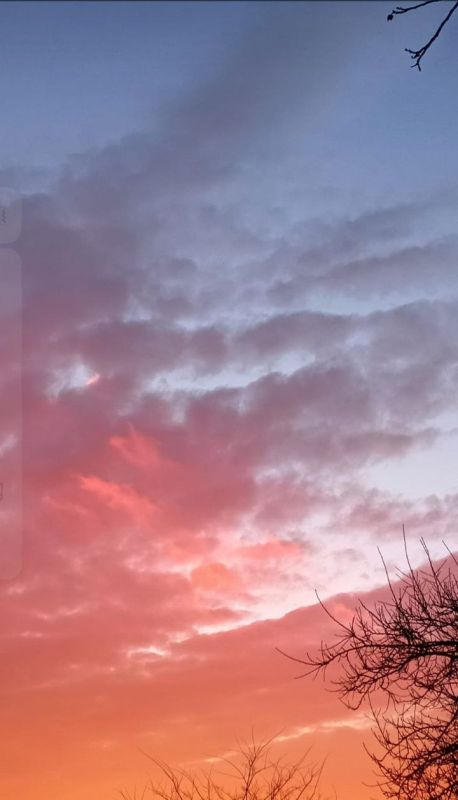 ������ ������: ���������� ������ �������� ��������� ���� ��������� � ���������� � ������