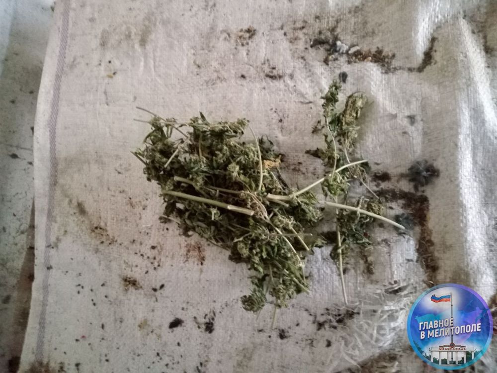 � 46-������� ������ ������������ ����� ��������, ������� �� �������