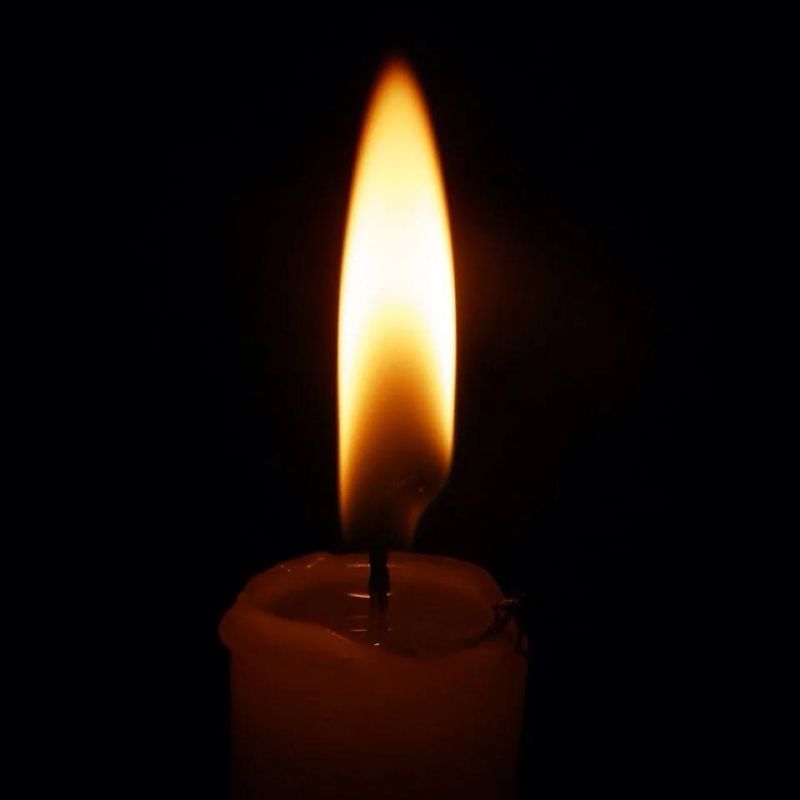 Сегодня в Запорожской области будут приспущены государственные флаги в знак солидарности и единства с жителями Донецка