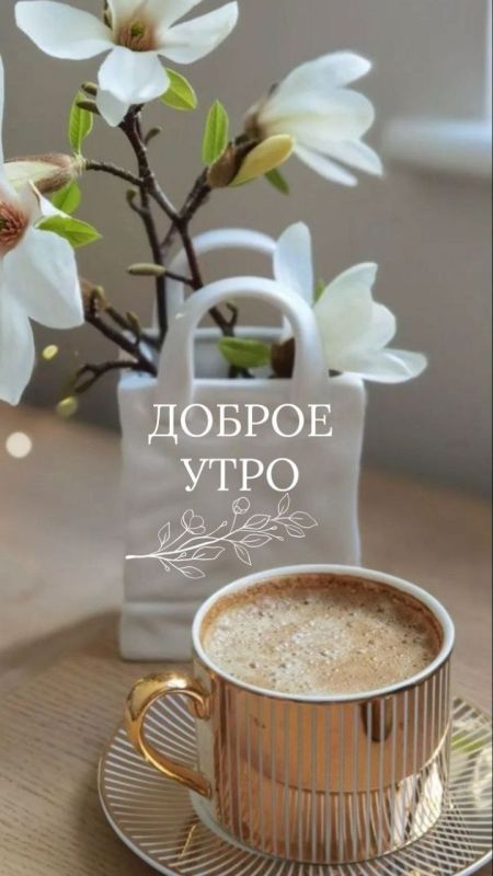 ������ �������