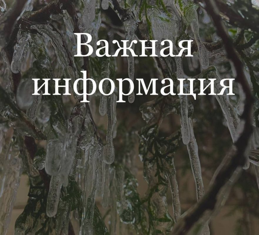 � ������ ���������� ������� ����������� ������������� �������� ���������� ��������� ���������ʻ