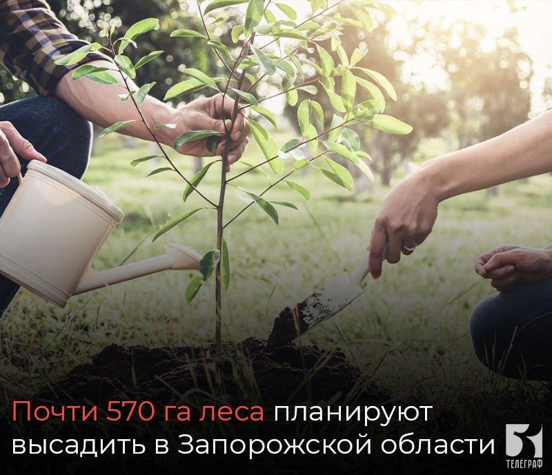 ����� 570 �� ���� ��������� �������� � ����������� ������� �� ��� ����