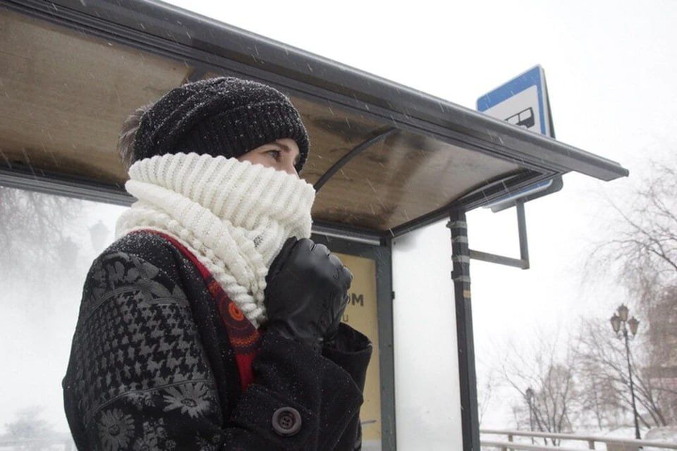 � ����������� ������� ����������� ���� �� ���������� �� ���������