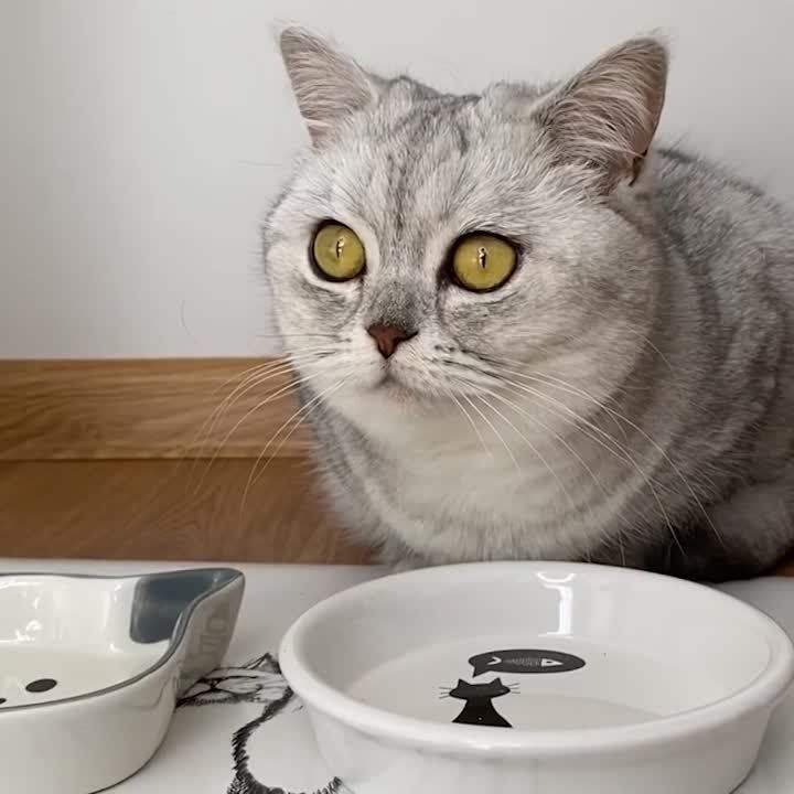 � �� ����, � ���� �����!