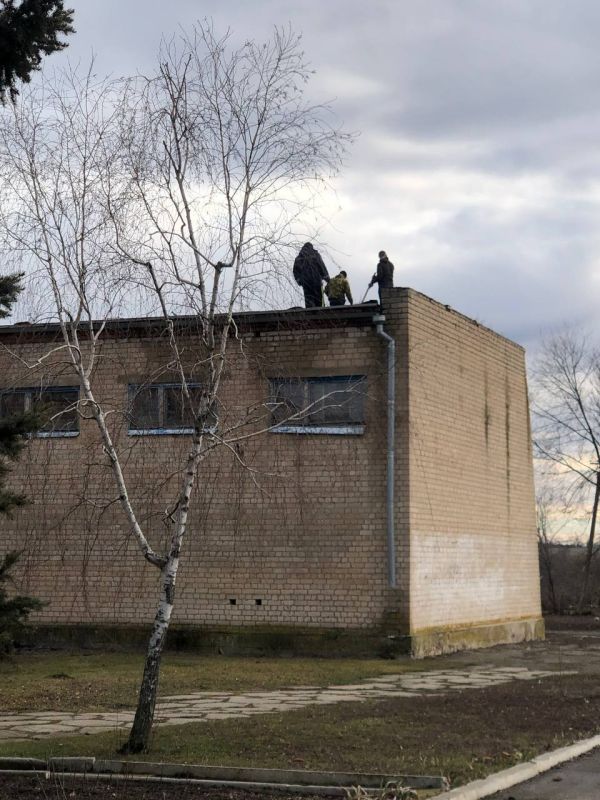 ������ ������: ������ ����� � ���������������� ��