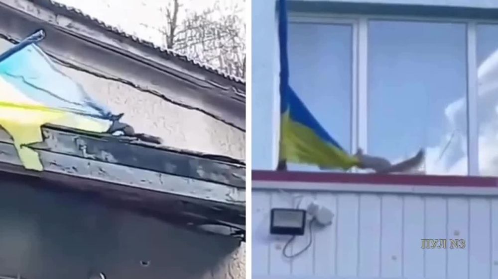 ��� ���������: ����� ������, ��������� ����� �� �������, ����� � �����