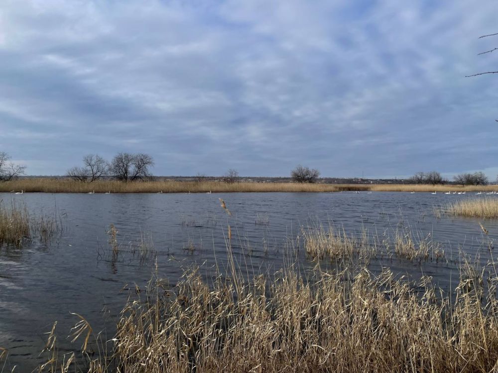 ������ ������: ������� ����, ������� ��������������!