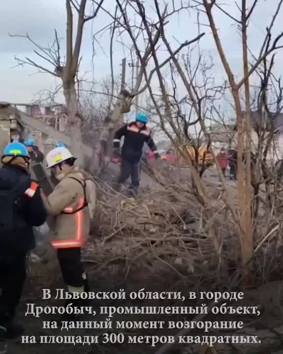 ������� ����� ������� ������������� ���� �� ��� �������