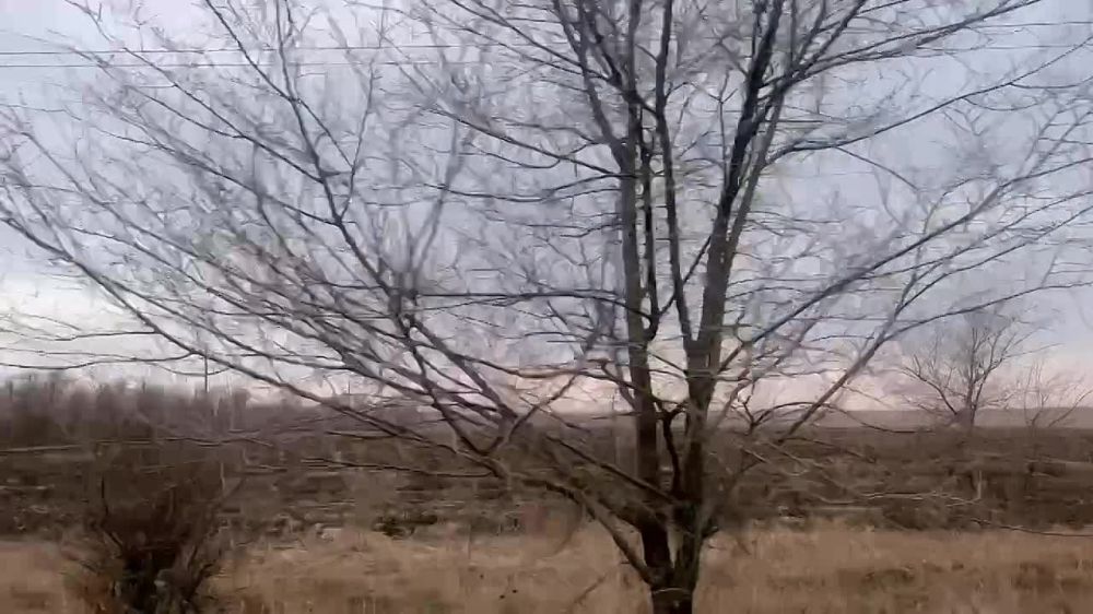 ������ ������: �������� ��������������� ���� � �����������!