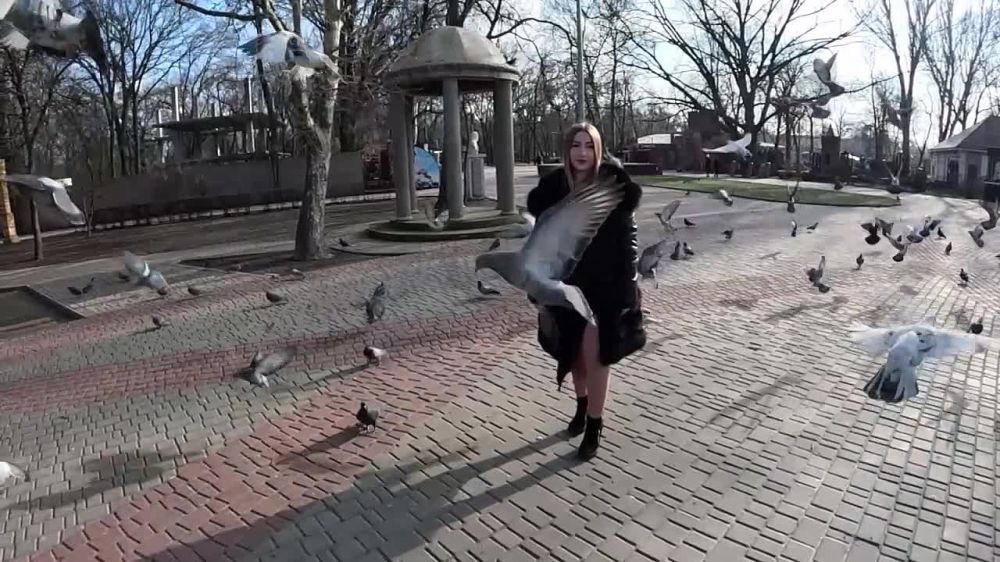 Александр Малькевич: Жительница Мелитополя написала песню о воссоединении Запорожской области с Россией!