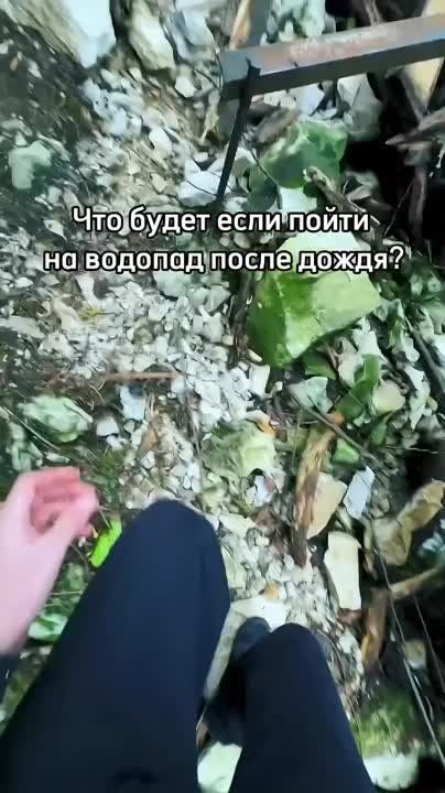 ����� ������� (�������� ��)