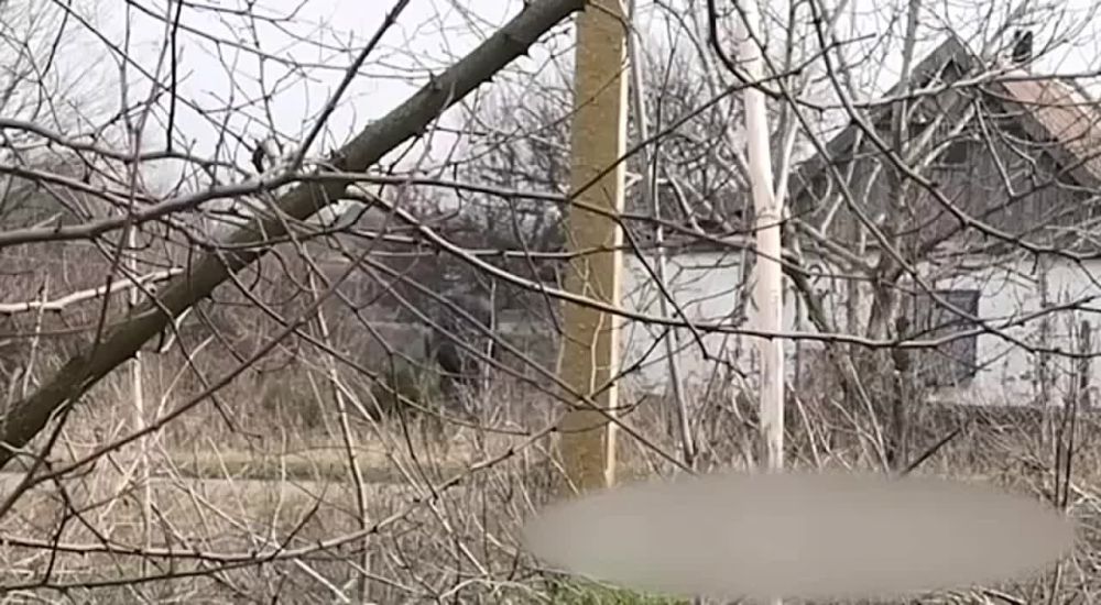 ��� �� ������� � ���������� ����������� ������, ������� ������� ������ � ����������� �������