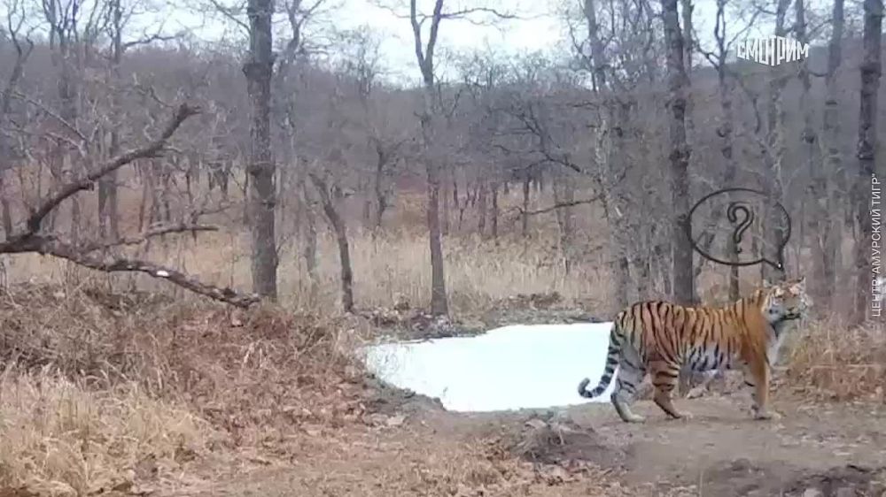 ������������� ���� ����� � ����������� � ������ "�������� ����": ������ ������� ����� � ������ �������, ��, ����� ������ ������ ����, ����� ���������� � ��� �� ������� �� ��� �������