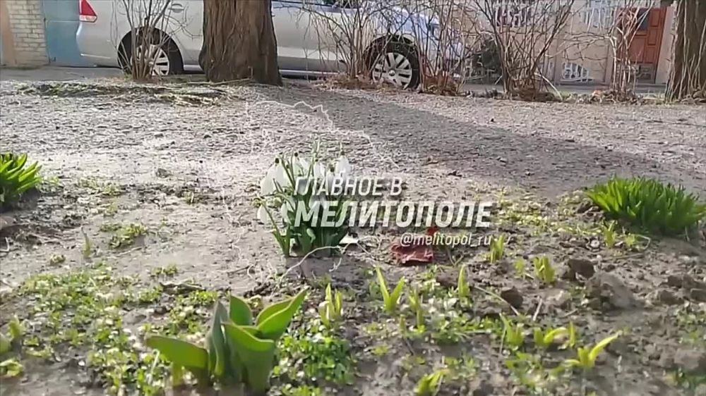 �� ����� �������� ��� ��� � �� ���� ������������� ��������� ������ ����������� � �����, ��������� ����