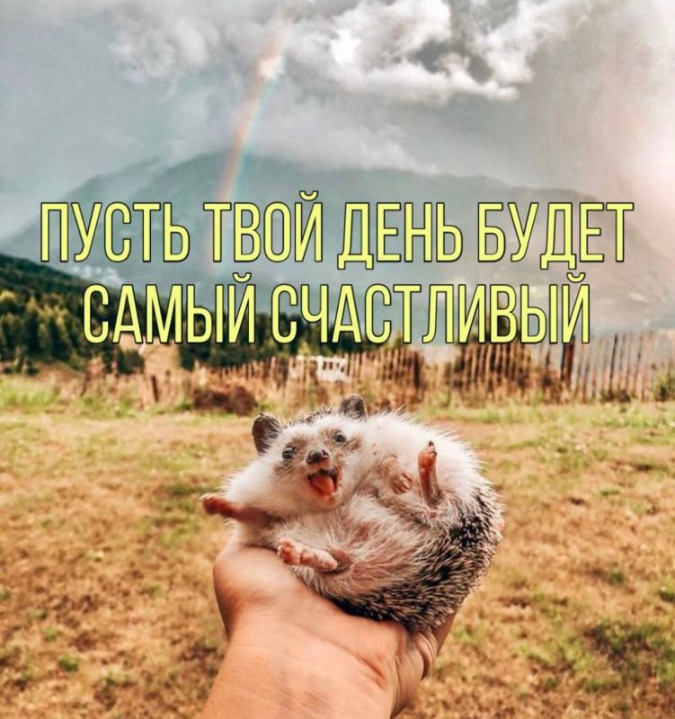 ������� ������������ � ����� � �����! ����������
