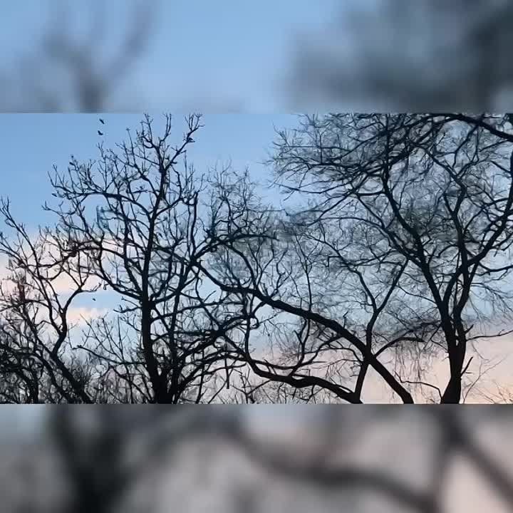 � ���������� ����� ������ ����
