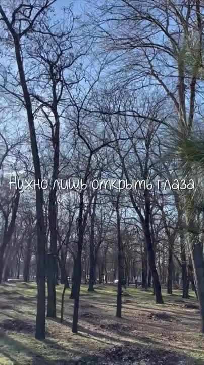 ��� ������ ��������. ����� �������������������