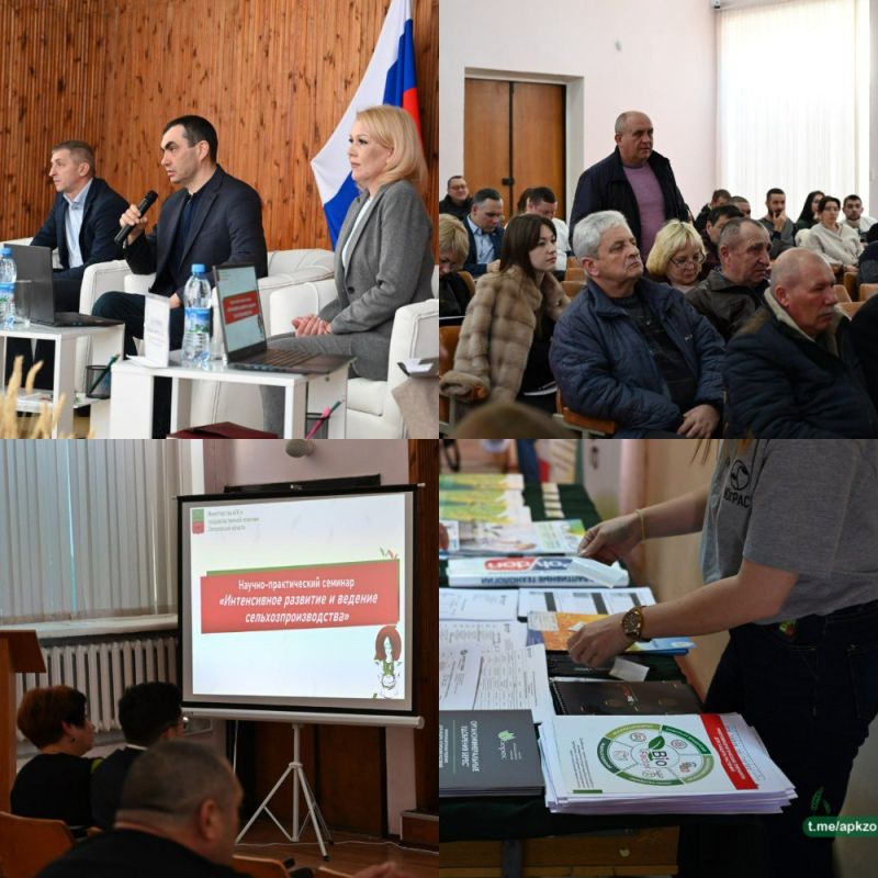 � ������������ ��� ������ ������� ������ ������-������������ ������� �� ����: ������������ �������� � ������� �������������������