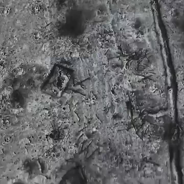 ���������� ���������� ������ ������� ��� � ��������� �� ����������� �����������