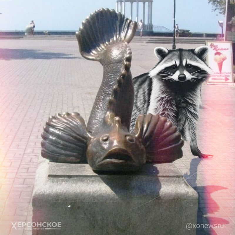 Познавательное путешествие: енот Херсон в Бердянске
