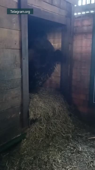 ����� ������: � ���������� �������� ����� �� ������ ������� ����