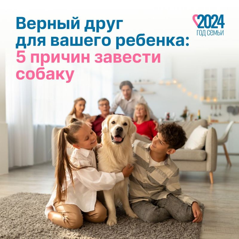 100% �������� � 0% ������� � � ������� �� �������� ��������� � ����������, ������� ��������